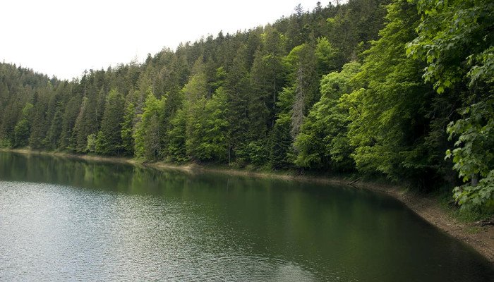 Озера на Закарпатье для незабываемого семейного отдыха