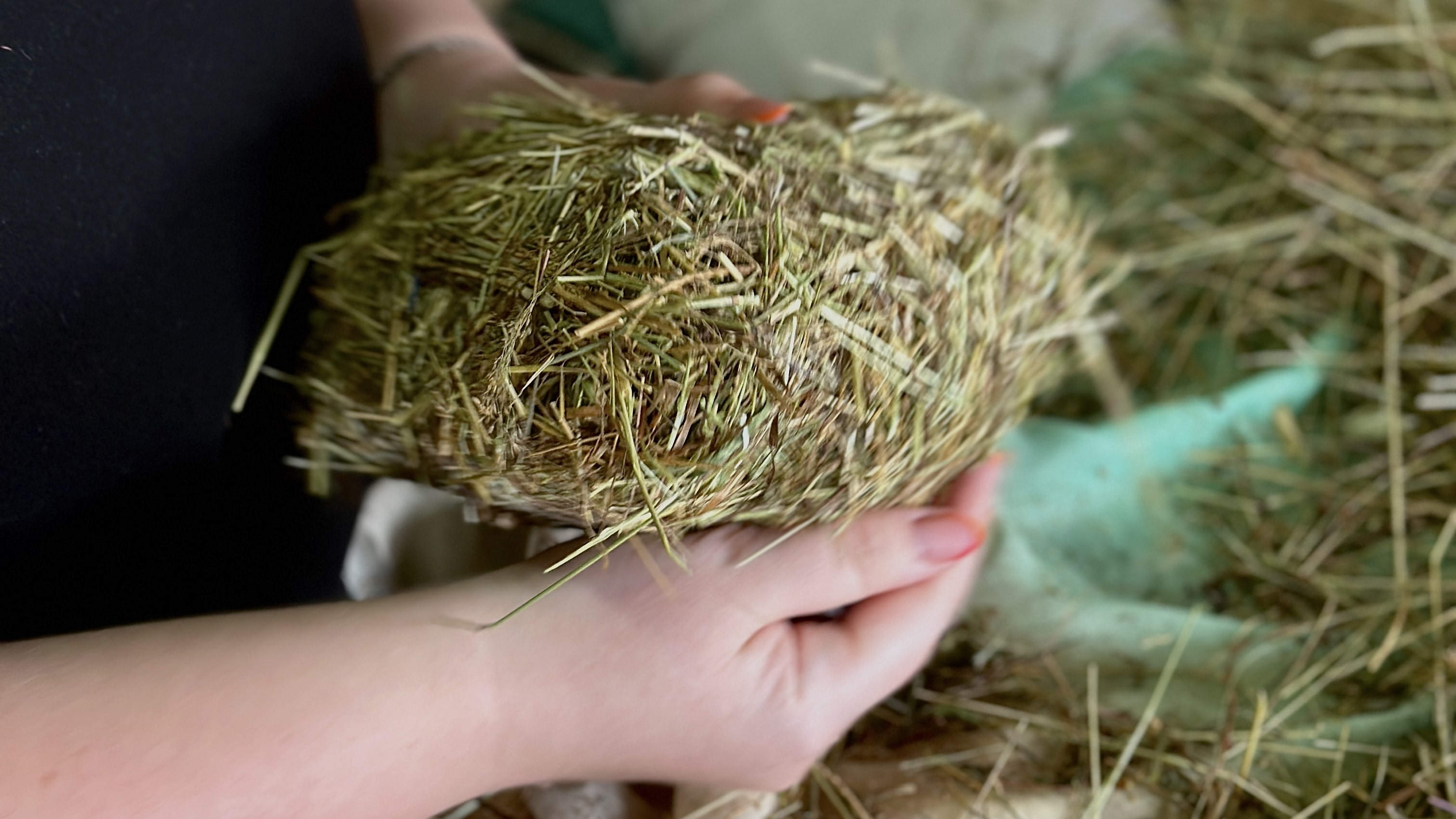 Кукла-мотанка