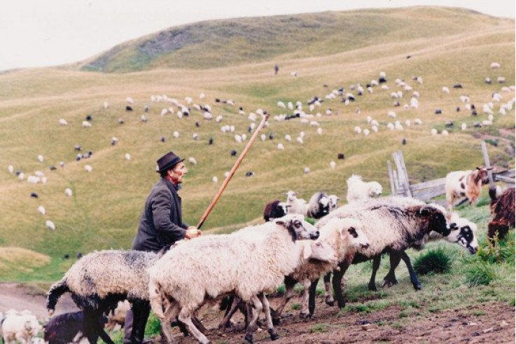 Пешие экскурсии