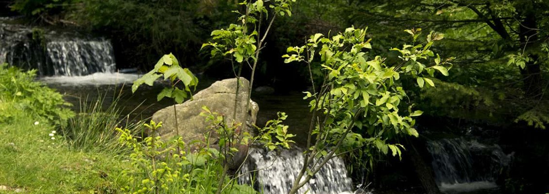 Цікаві місця Закарпаття, які варто відвідати