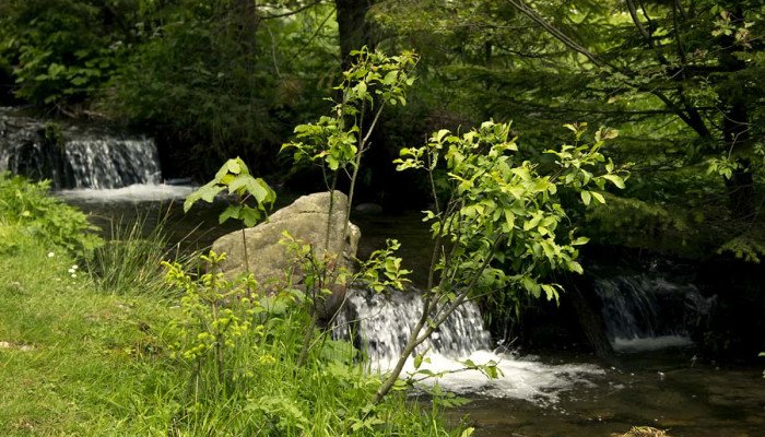 Интересные места Закарпатья, которые стоит посетить
