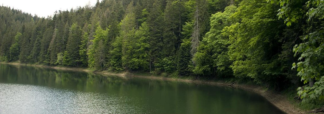 Озера на Закарпатье для незабываемого семейного отдыха