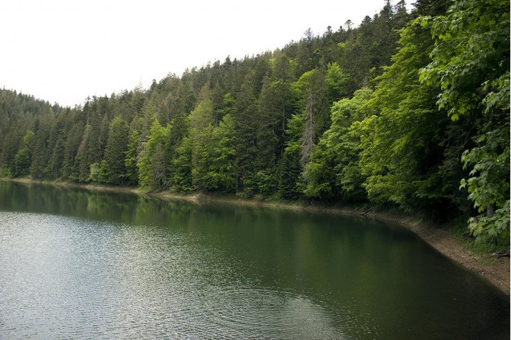 Выездные экскурсии