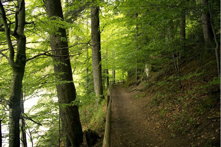 Выездные экскурсии