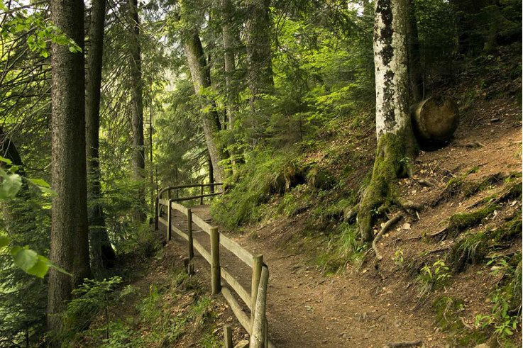 Выездные экскурсии