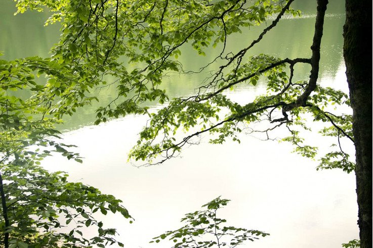 Выездные экскурсии