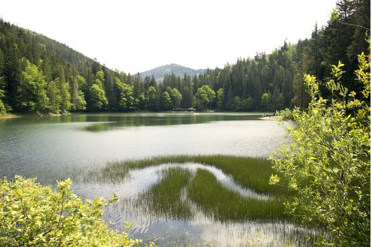 Выездные экскурсии