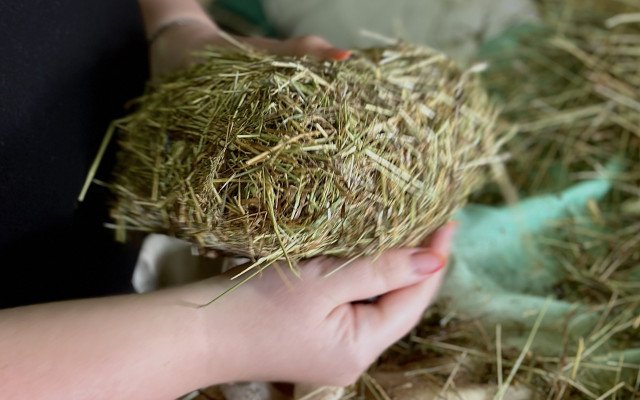 іграшка з сіна