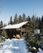 Deluxe Вилла в Карпатах