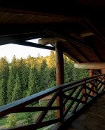 Коттедж с кухней Вилла Family