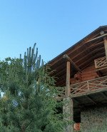 Коттедж с кухней Вилла Family