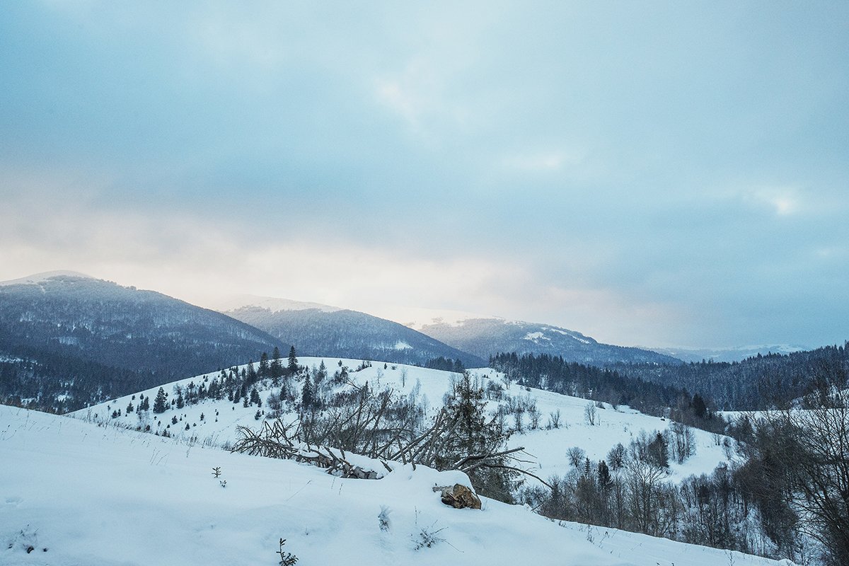 Галлерея Изки зимой