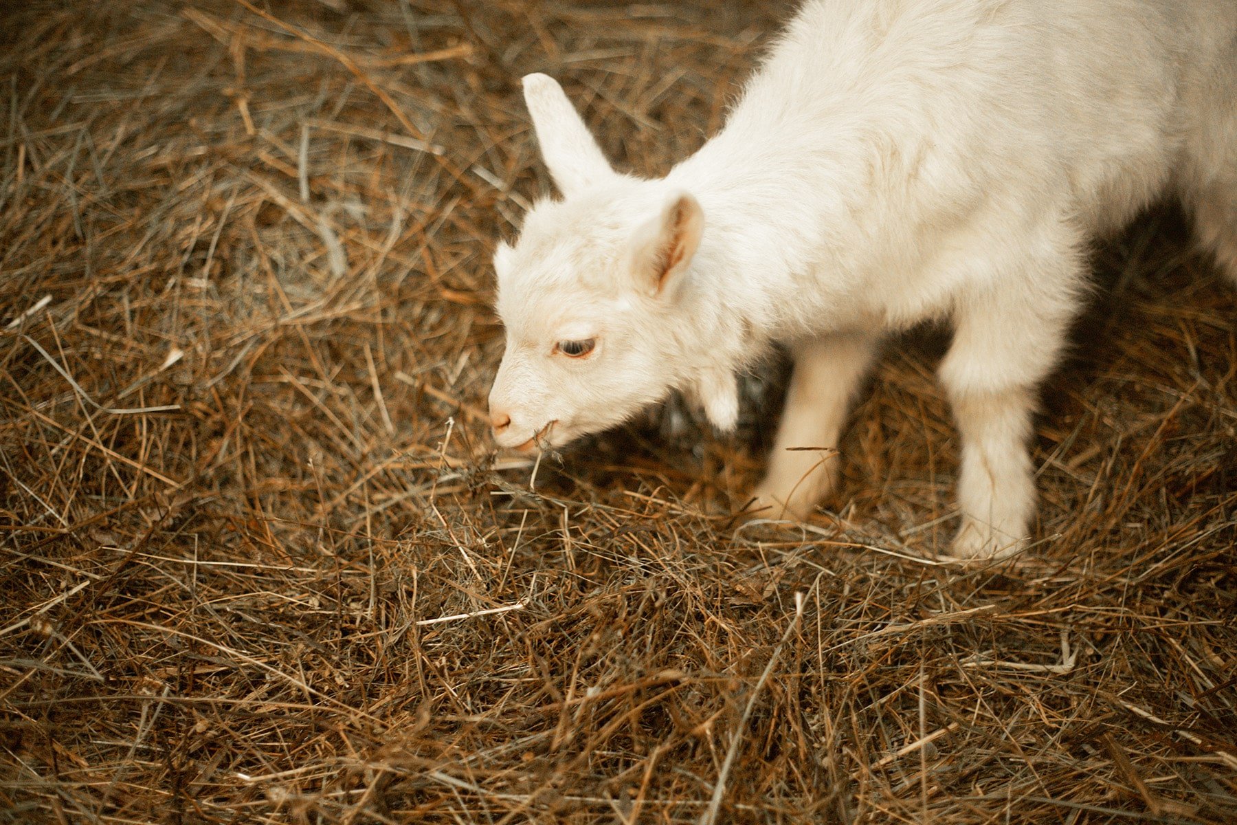 Галлерея Изки зимой