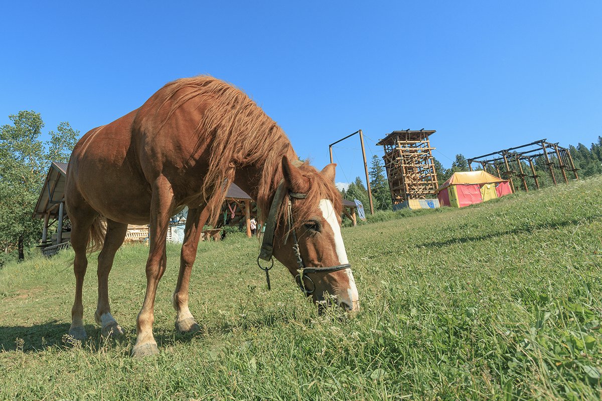 Галлерея Изки летом