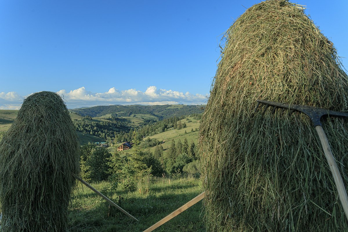Галерея Ізки влітку