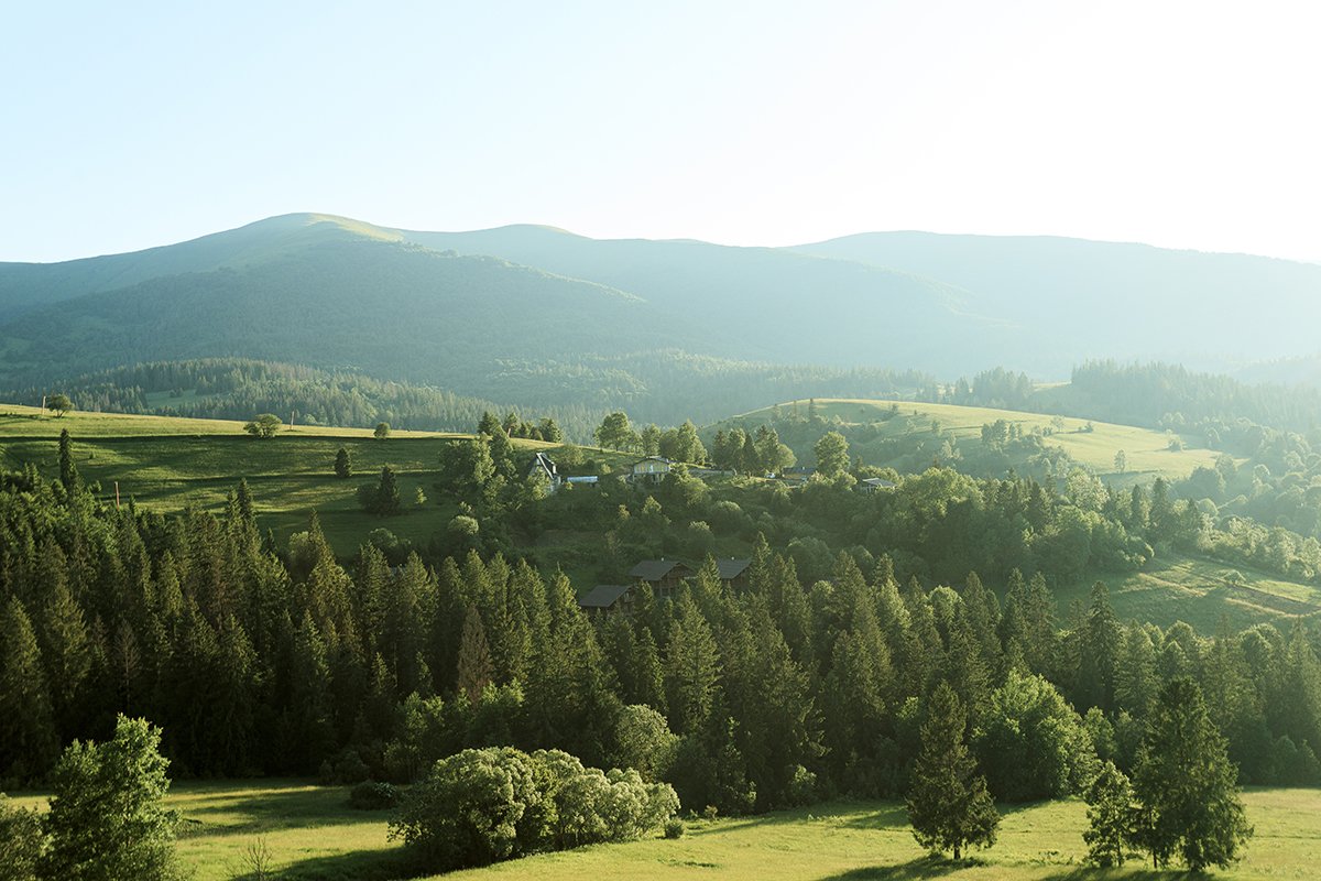 Галлерея Изки летом