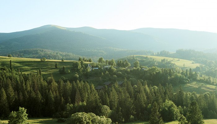 Отдых в Карпатах летом