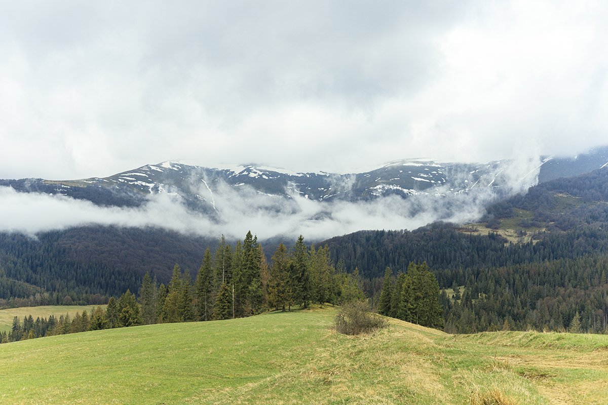 Галлерея Изки летом