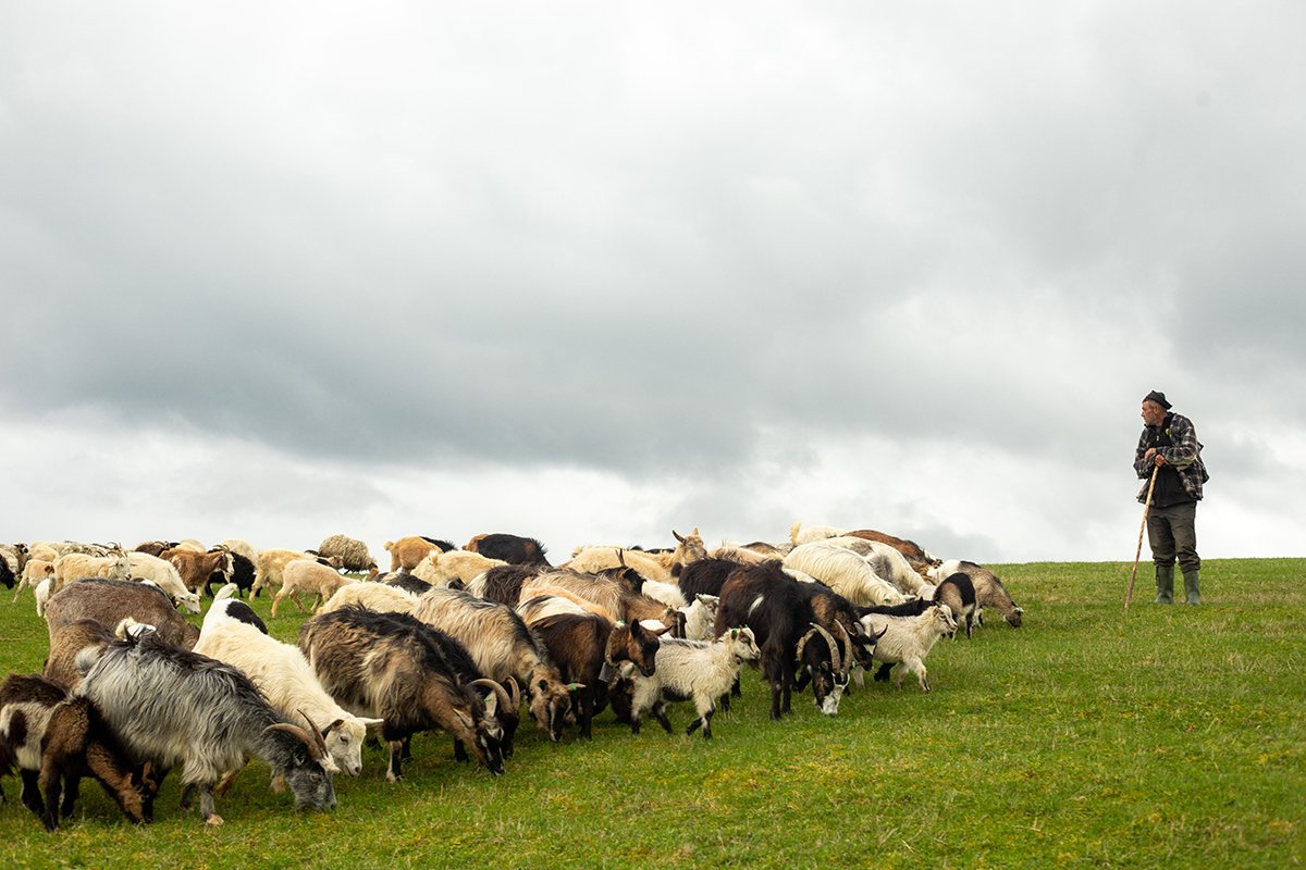 Галерея Ізки влітку