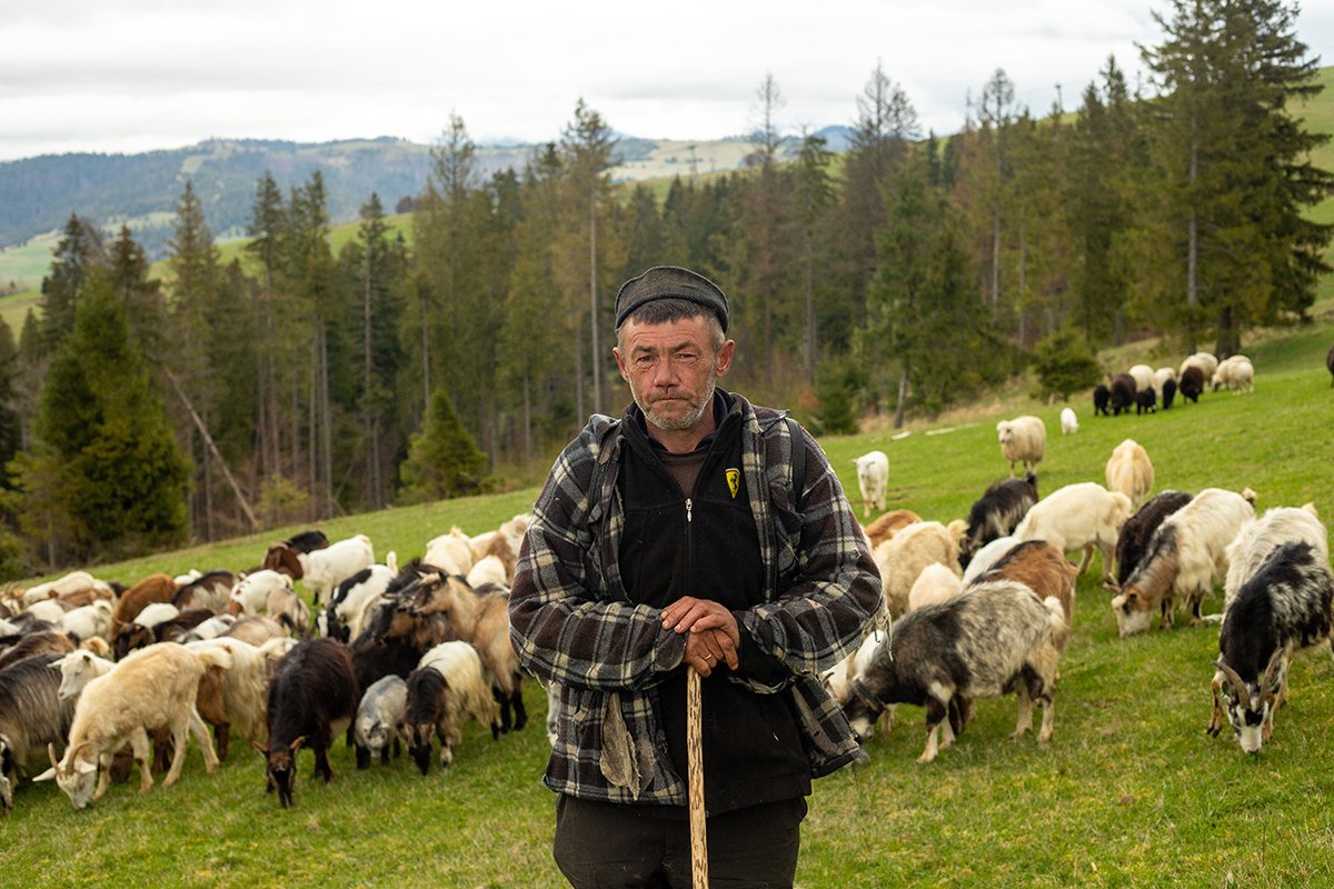 Галерея Ізки влітку