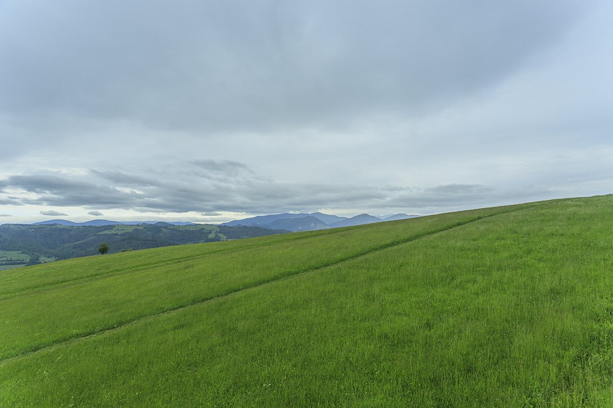 Галерея Ізки влітку