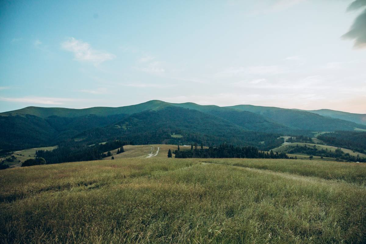 Галлерея Изки 2025 гори