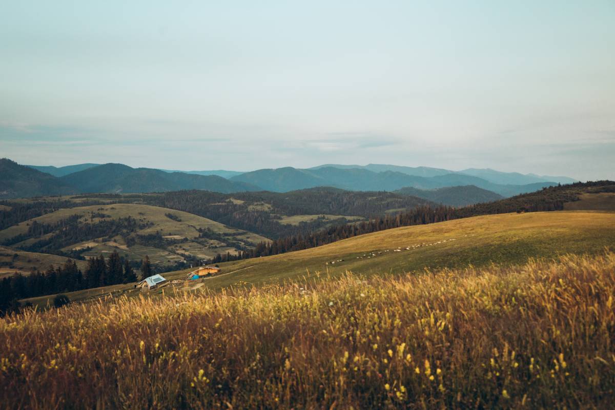 Галлерея Изки 2025 summer