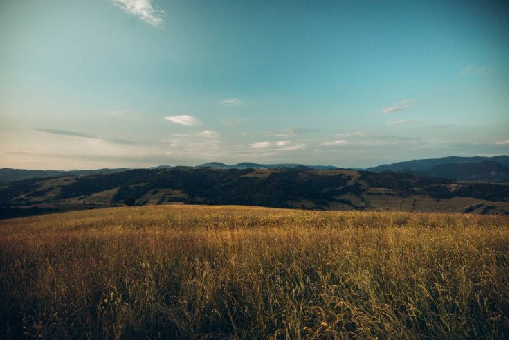 Лето в Закарпатье