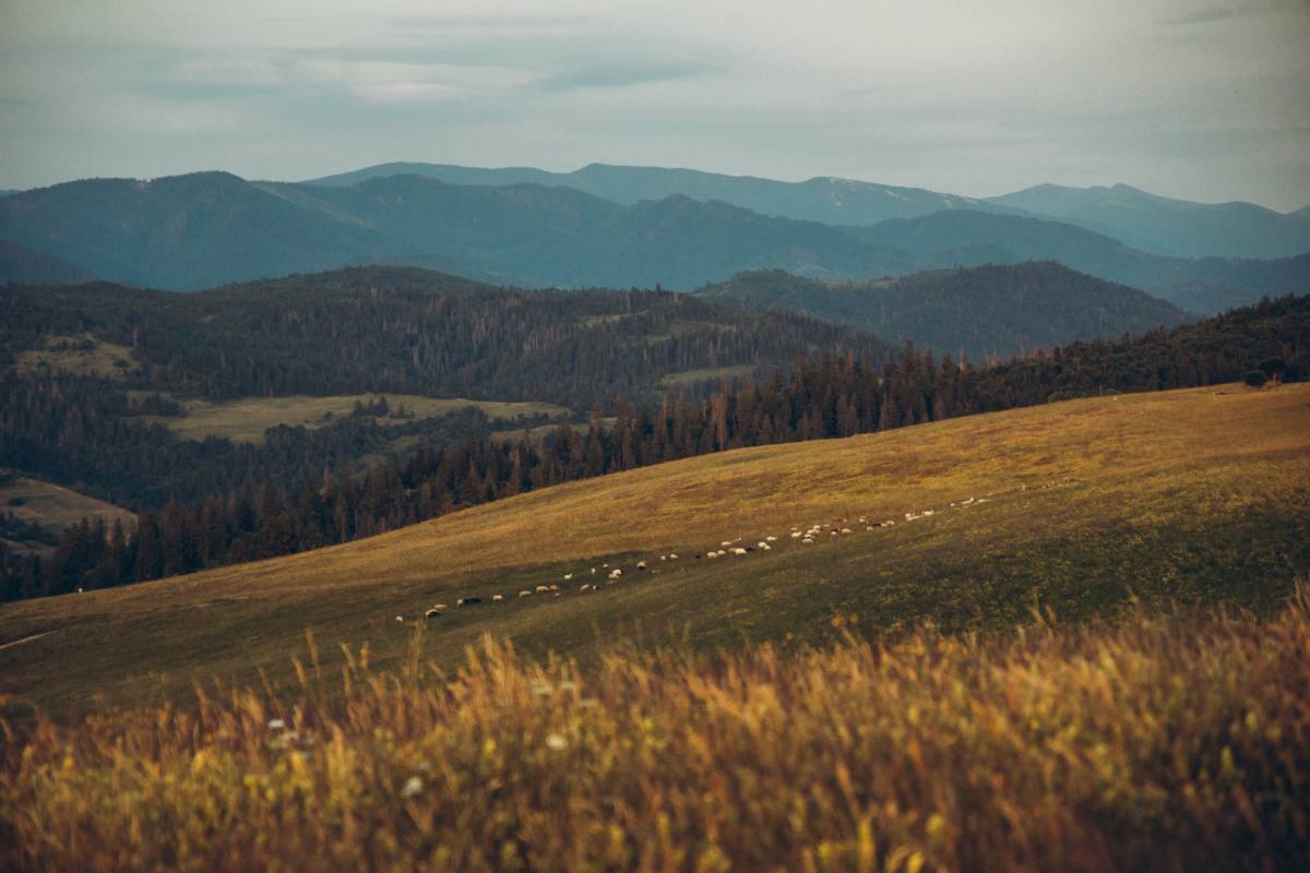Галлерея Изки 2025