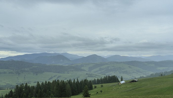Лучше гор Карпат могут быть только горы