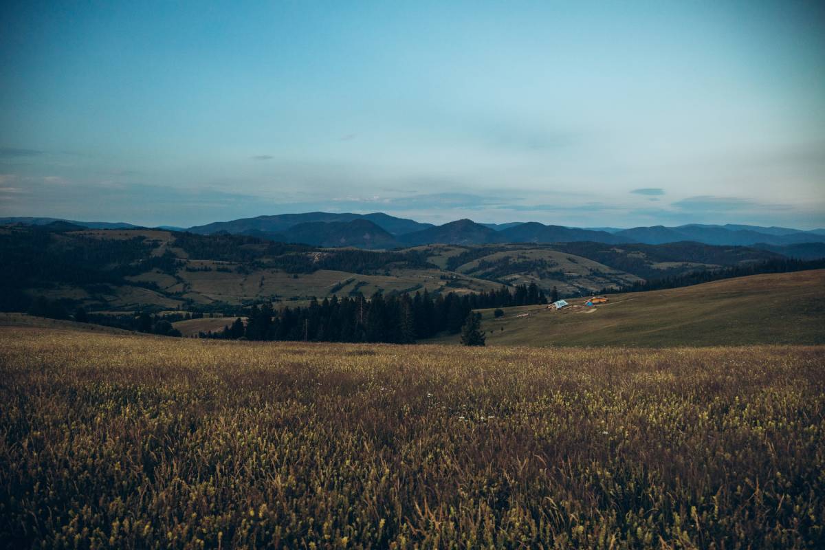 Галерея Ізки 2025 літо