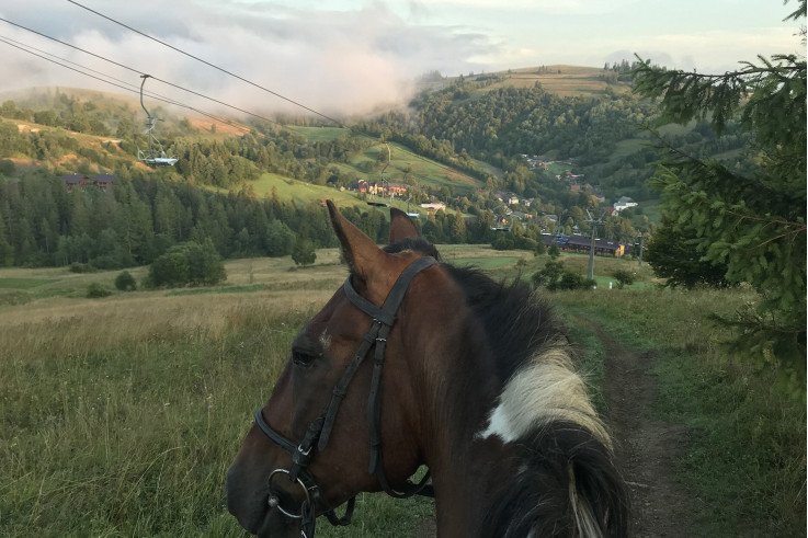 Катание на конях