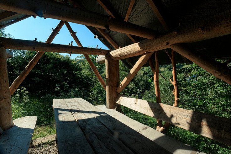 Корпоративи в Карпатах