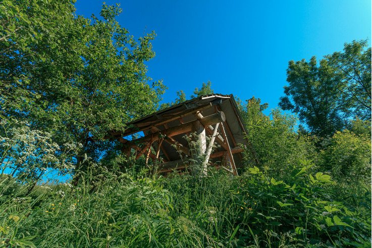 Корпоративи в Карпатах