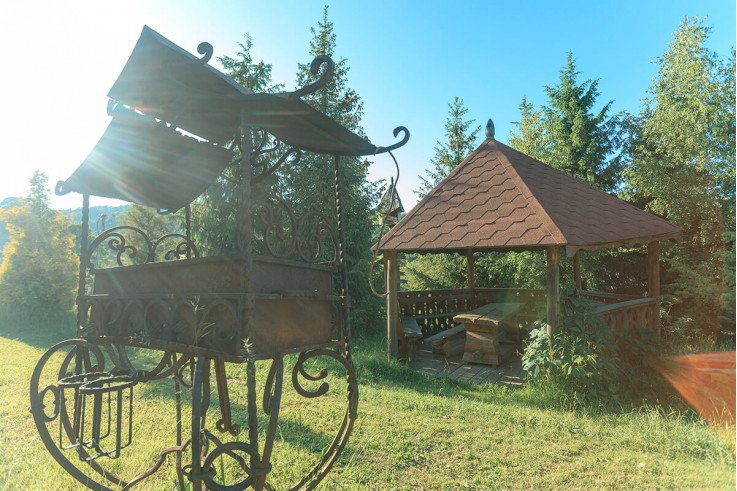 Корпоративи в Карпатах