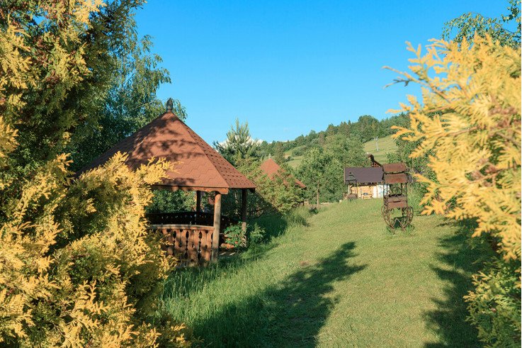 Корпоративы в Карпатах