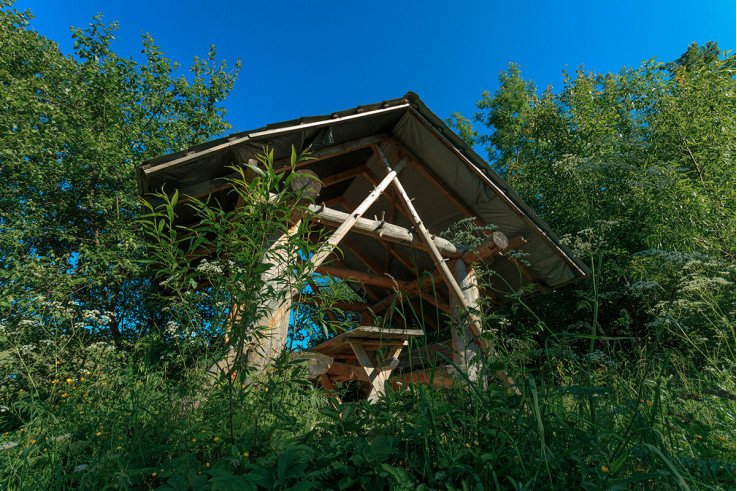 Корпоративы в Карпатах