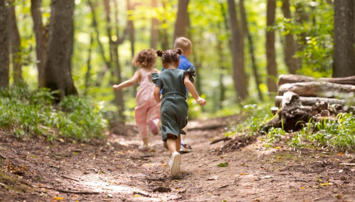 Интересные места Закарпатья для детей