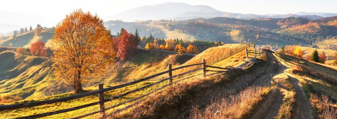 Где отдохнуть в Карпатах летом 2025 года?