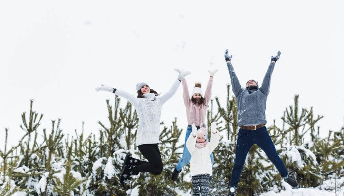 Где можно отдохнуть в Карпатах на Новый год 2026?