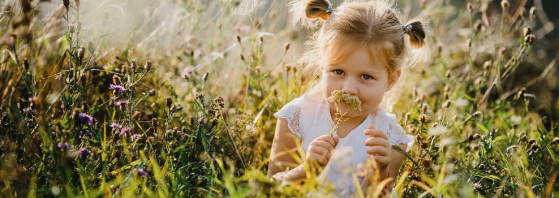 Отдых в Карпатах для семьи с детьми — как интересно провести время