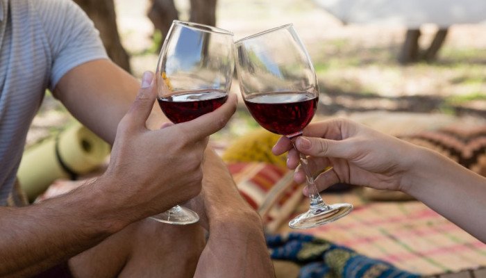 Дегустация вина Закарпатья - куда поехать и что попробовать