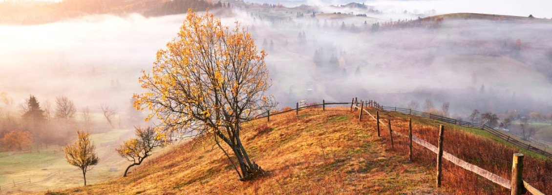 Карпаты осенью — куда поехать, что посмотреть и как отдохнуть с удовольствием