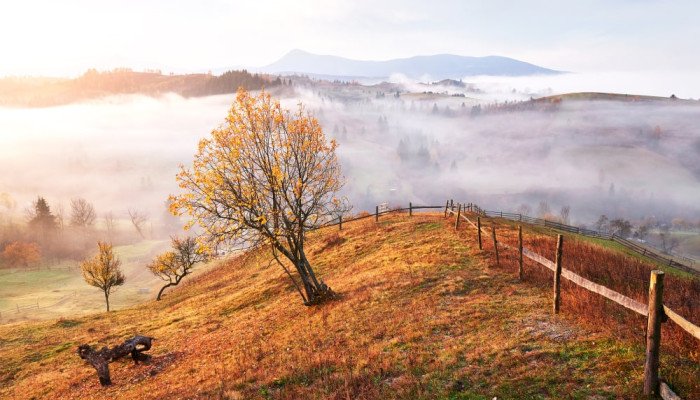 Карпати осінню — куди поїхати, що побачити та як відпочити із задоволенням