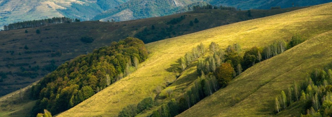 Полонина Боржава: маршрути та корисна інформація для туристів