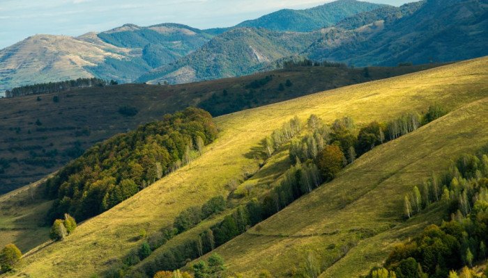 Полонина Боржава: Маршруты и полезная информация для туристов