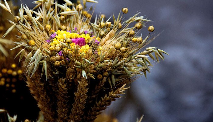 Традиции празднования Рождества в Карпатах