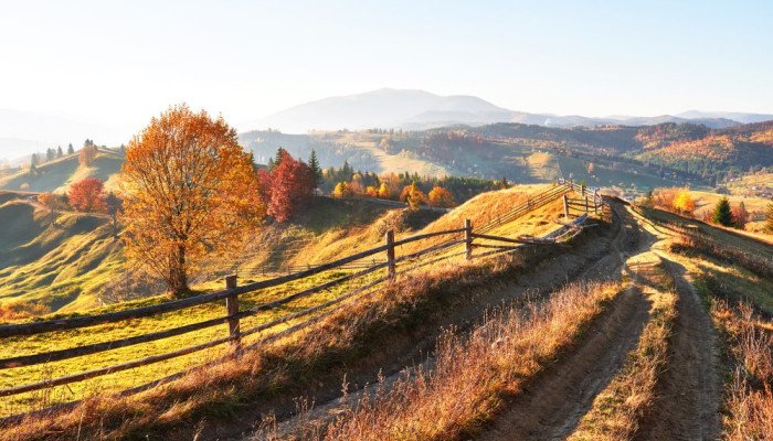 Де відпочити в Карпатах влітку 2025?