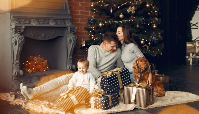 Рождество в карпатах: домашний уют и семейная атмосфера