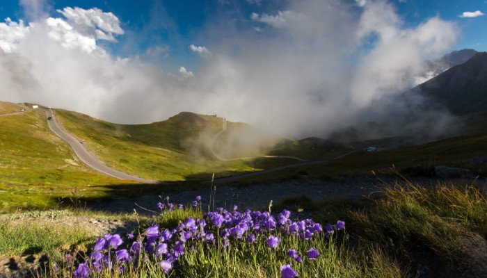 Отдых в Карпатах весной 2026: куда поехать и что посмотреть